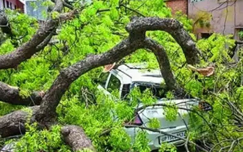 ভারতে বজ্রপাত ও ঝড়ে ৪৫ জনের প্রাণহানি