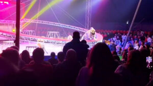 রাশিয়ায় দর্শকদের ওপর ঝাঁপিয়ে পড়ল সার্কাসের বাঘ, অতঃপর…