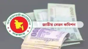 আগস্টের দ্বিতীয় সপ্তাহের মধ্যে নতুন পে স্কেলের গেজেট